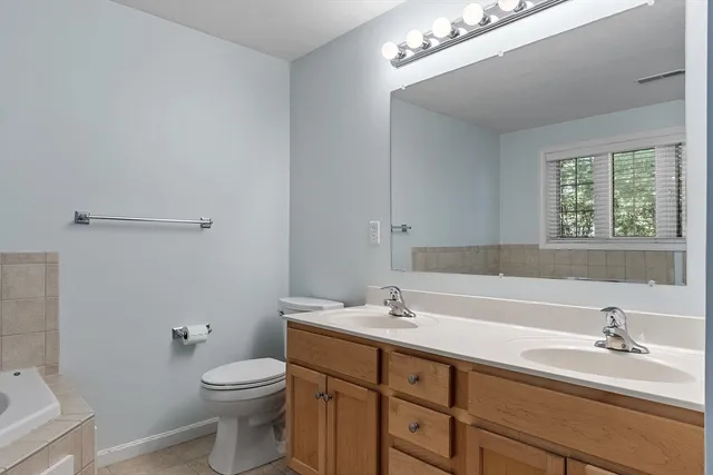 a bathroom with a sink a toilet and a mirror