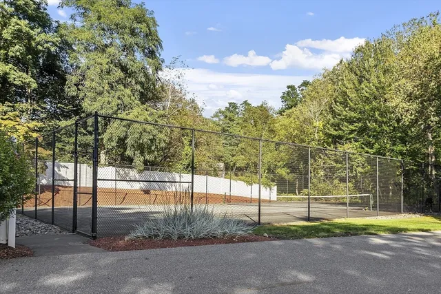 a view of a park with large trees
