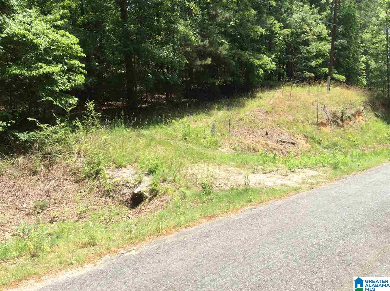 Hoyt Hill Road, Unit 1 Ashville, AL 35953 - Photo 5 of 13