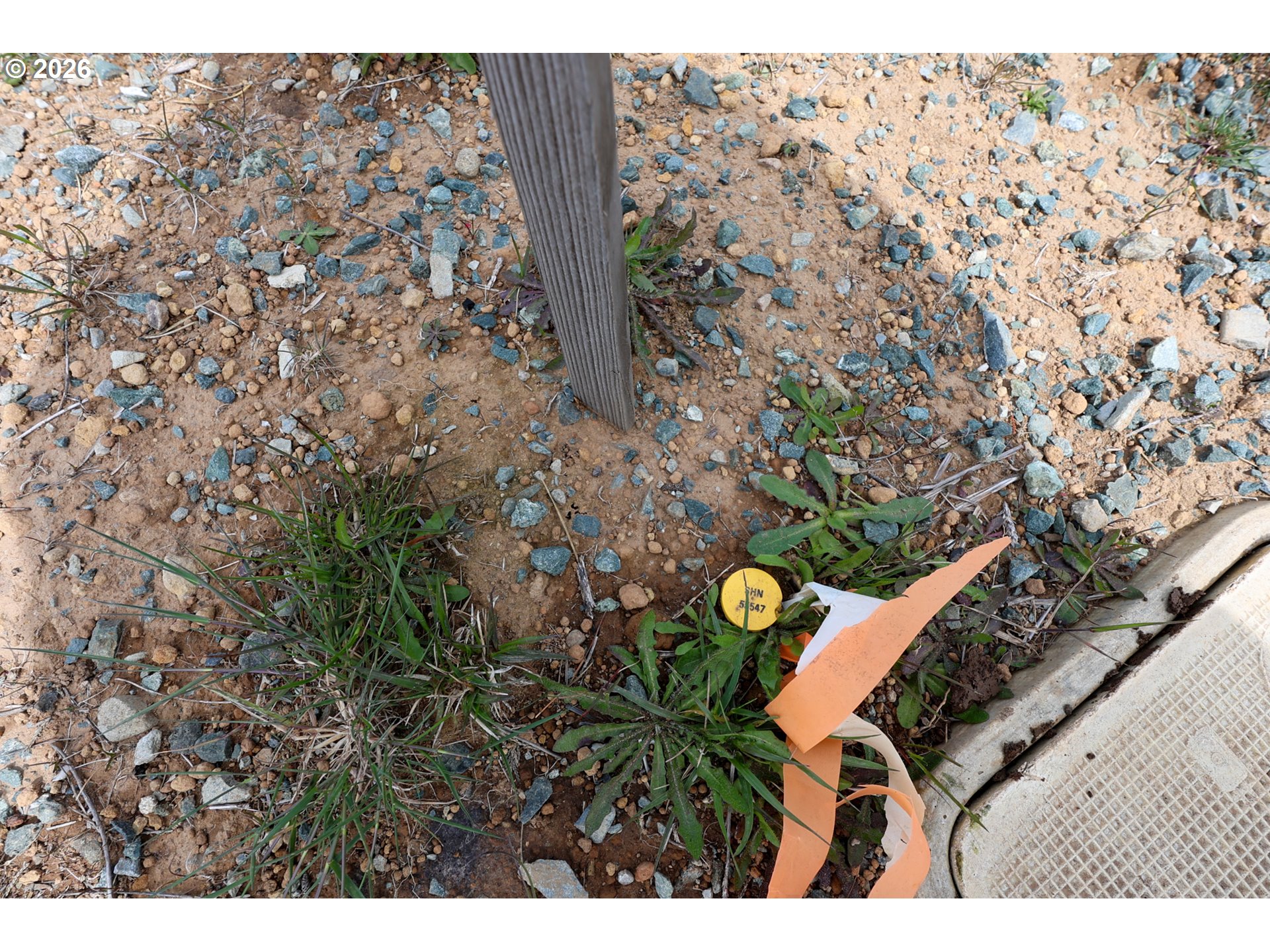 Shearwater Circle, Unit 5 Bandon, OR 97411 - Photo 31 of 33