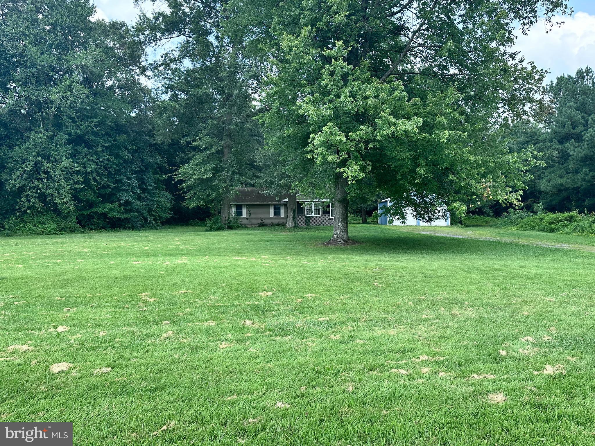 8027 Willow Grove Road Camden Wyoming, DE 19934 - Photo 8 of 16 a view of a green yard with a house