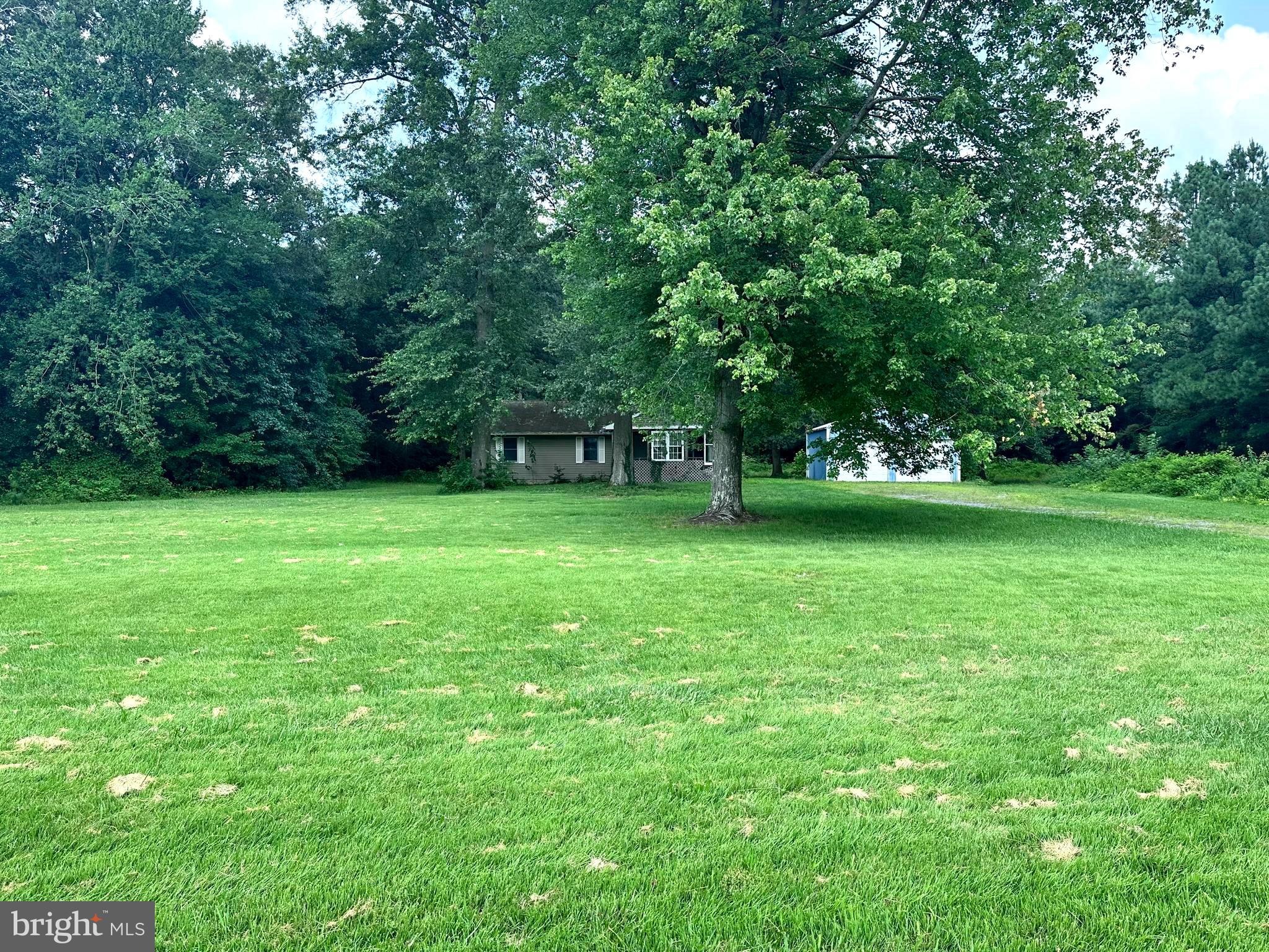 8027 Willow Grove Road Camden Wyoming, DE 19934 - Photo 9 of 16 a view of a grassy field with grass and trees