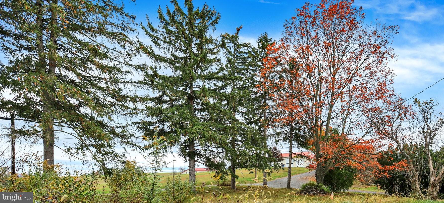 664 South Breezewood Road Breezewood, PA 15533 - Photo 23 of 24 a backyard of a house with lots of trees