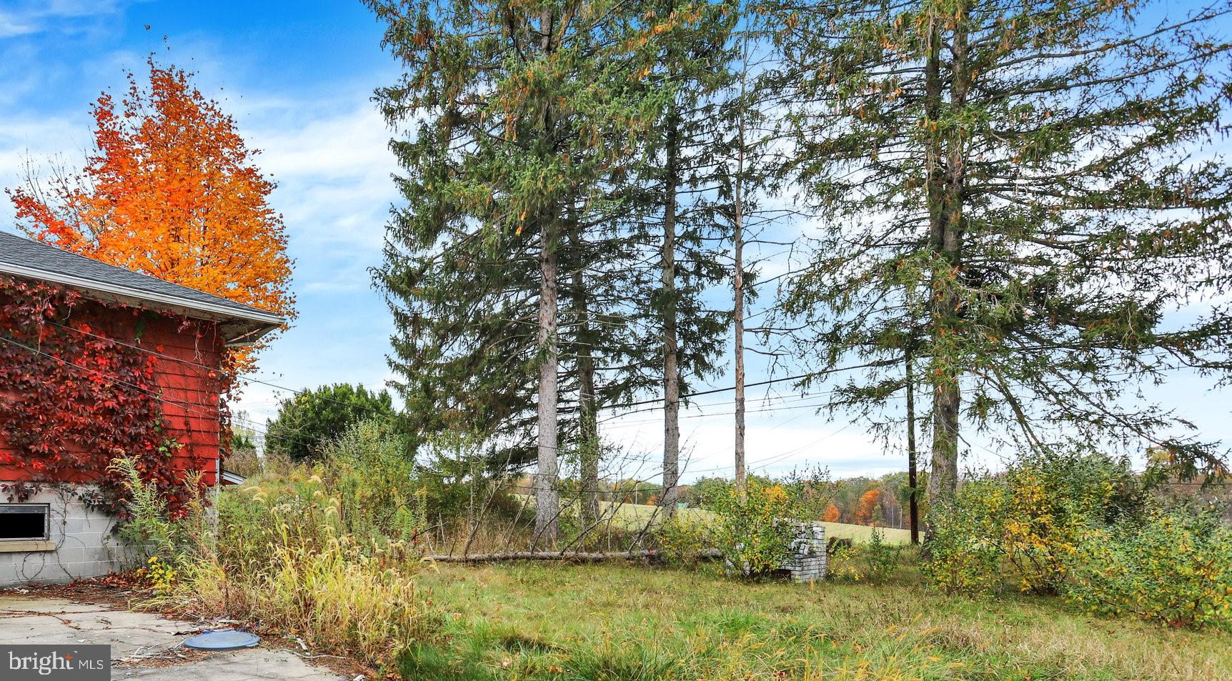 664 South Breezewood Road Breezewood, PA 15533 - Photo 24 of 24 a view of backyard with green space