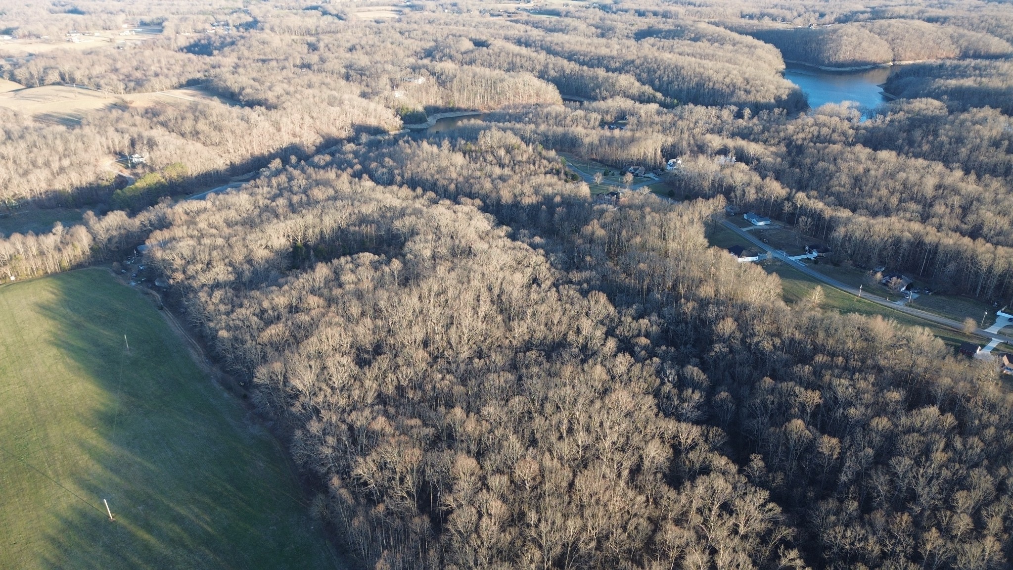 556 Panhead Hollow Road Estill Springs, TN 37330 - Photo 13 of 29