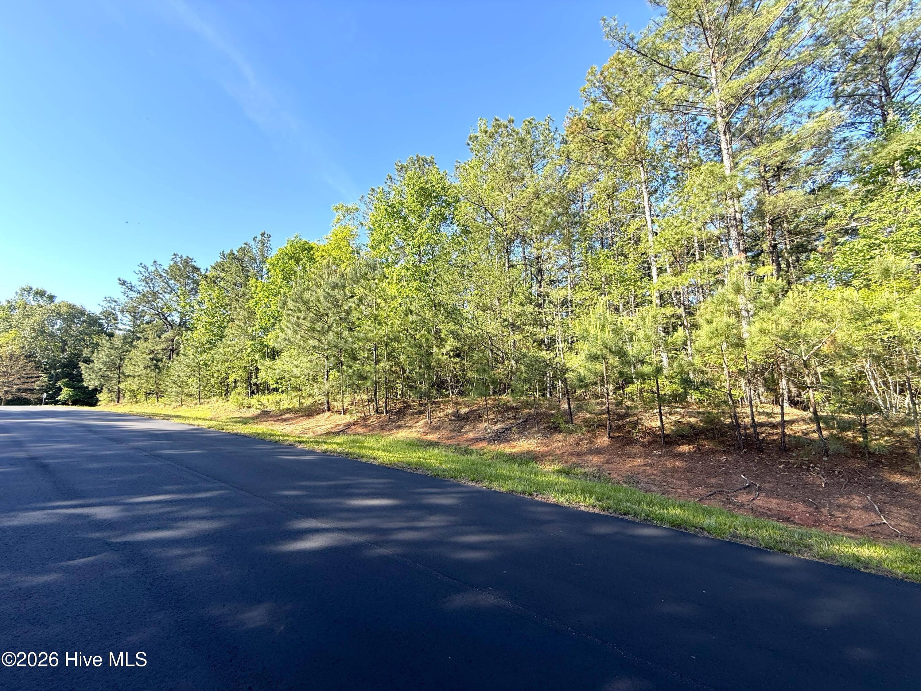 121 Watsons Way Rockingham, NC 28379 - Photo 11 of 22 IMG_1994