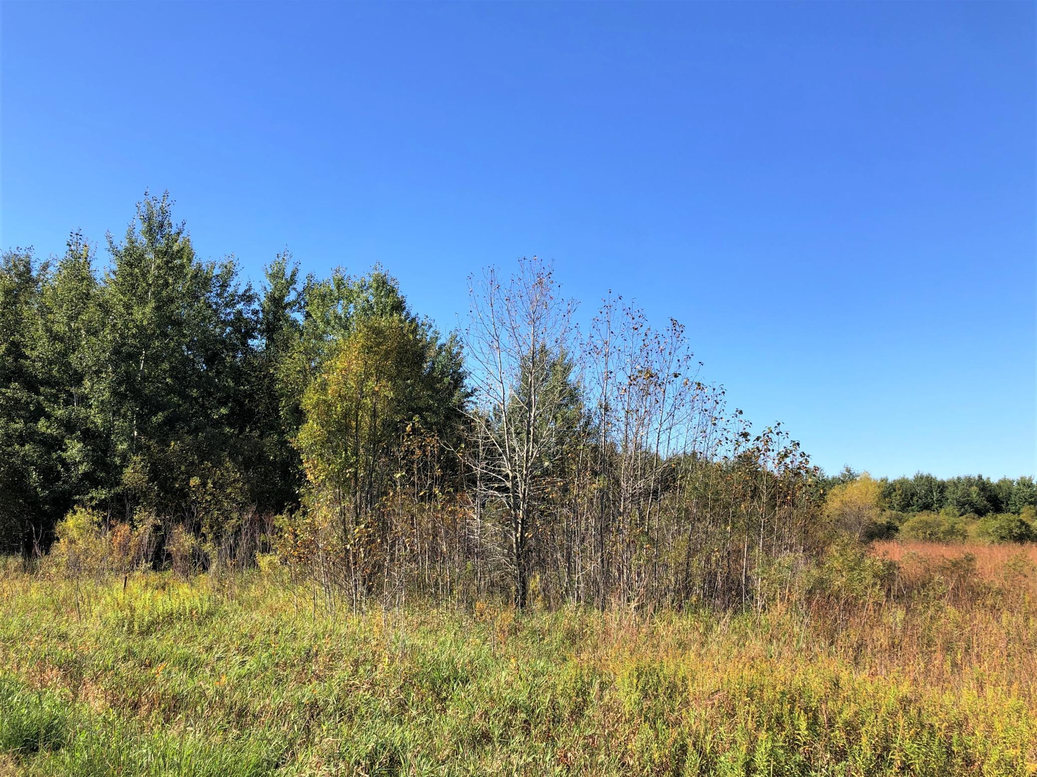 0 200th Street Luck, WI 54853 - Photo 1 of 1