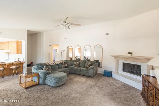 a living room with furniture and a fireplace