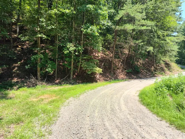 $12,000 | Lot 560 Neptune Circle, Ranger, GA 30734