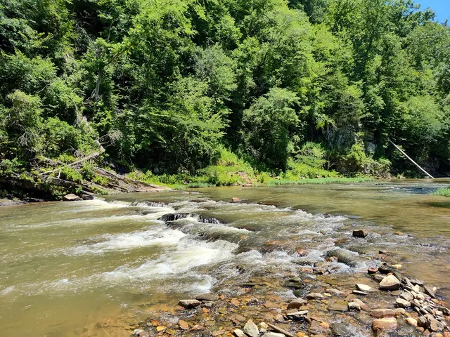 $12,000 | Lot 560 Neptune Circle, Ranger, GA 30734