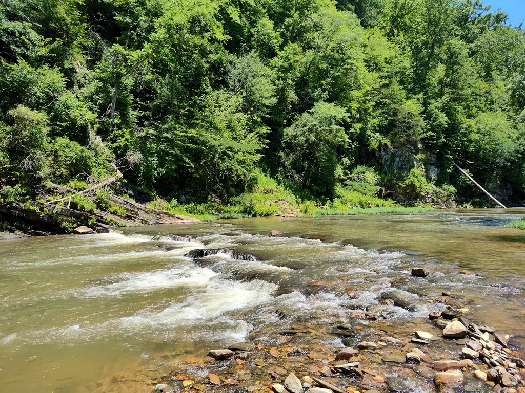 Lot 560 Neptune Circle Ranger, GA 30734 - Photo 11 of 26 View from NEPTUNE CIR