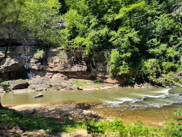 $12,000 | Lot 560 Neptune Circle, Ranger, GA 30734