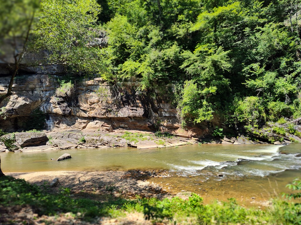 Lot 560 Neptune Circle Ranger, GA 30734 - Photo 13 of 26 View from NEPTUNE CIR