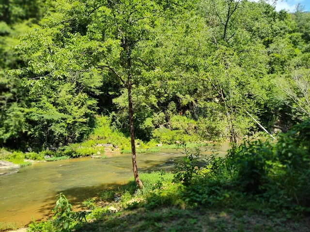 $12,000 | Lot 560 Neptune Circle, Ranger, GA 30734