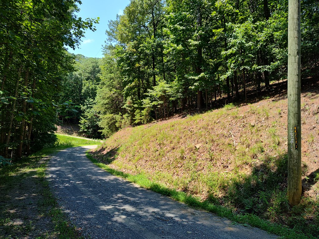Lot 560 Neptune Circle Ranger, GA 30734 - Photo 19 of 26 Wooded Property