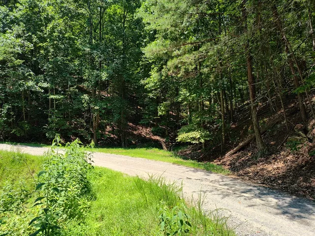 $12,000 | Lot 560 Neptune Circle, Ranger, GA 30734