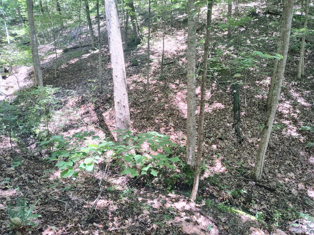 Lot 560 Neptune Circle Ranger, GA 30734 - Photo 2 of 26 Plat Map