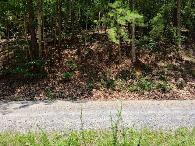 $12,000 | Lot 560 Neptune Circle, Ranger, GA 30734