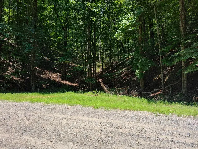 $12,000 | Lot 560 Neptune Circle, Ranger, GA 30734
