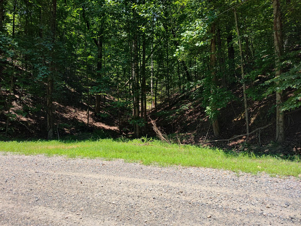 Lot 560 Neptune Circle Ranger, GA 30734 - Photo 22 of 26 View down towards NEPTUNE CIR