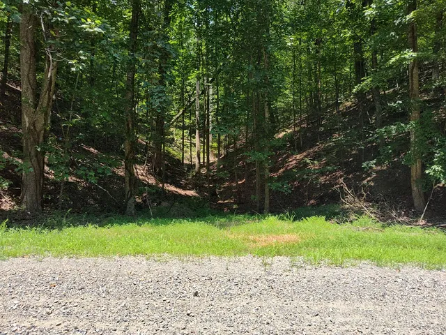 $12,000 | Lot 560 Neptune Circle, Ranger, GA 30734