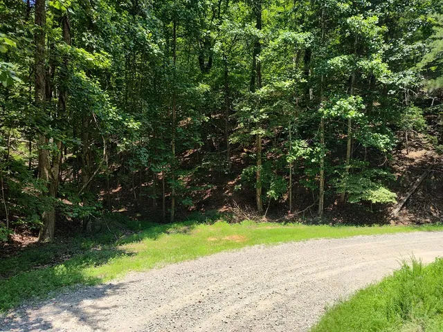 $12,000 | Lot 560 Neptune Circle, Ranger, GA 30734