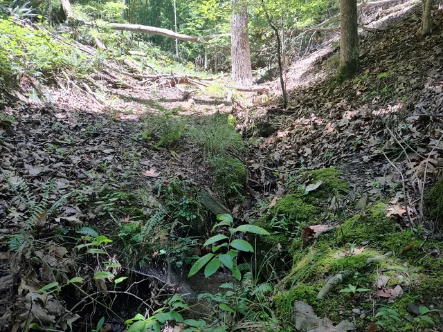 $12,000 | Lot 560 Neptune Circle, Ranger, GA 30734