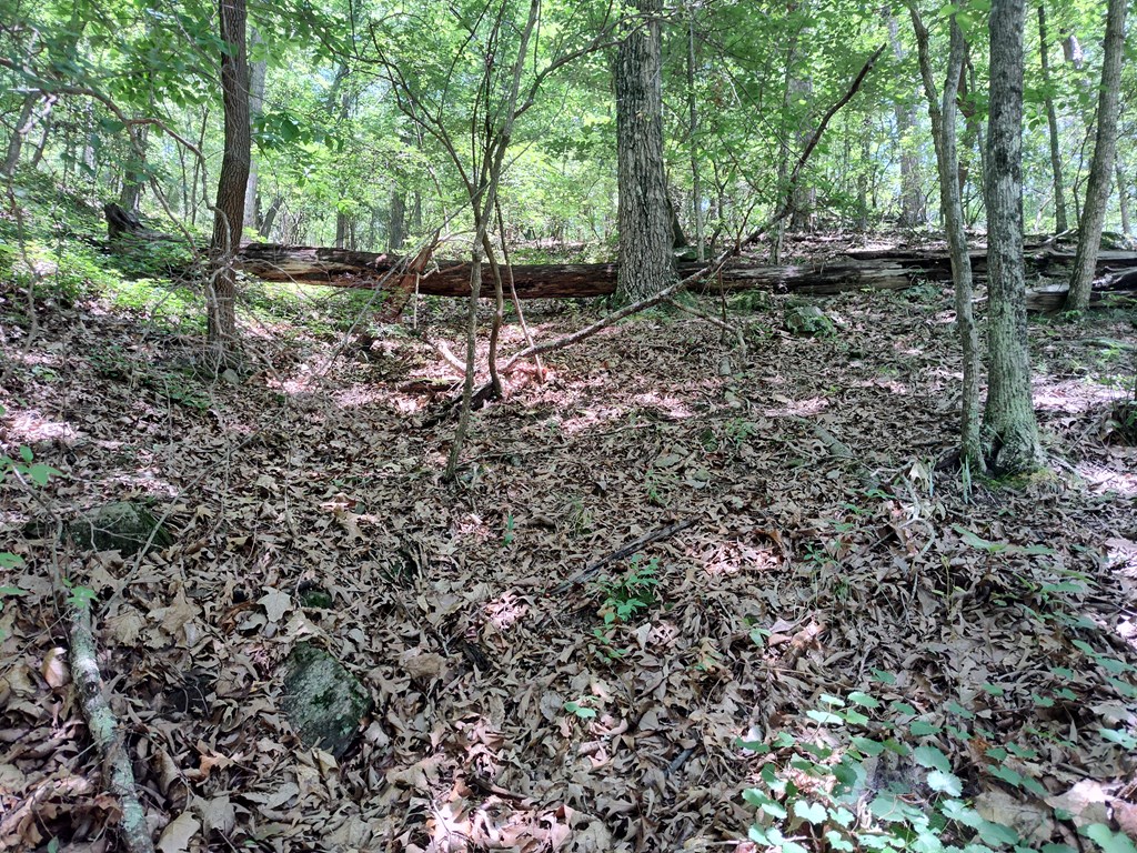 Lot 560 Neptune Circle Ranger, GA 30734 - Photo 4 of 26 Community Creek Access