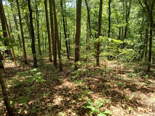 $12,000 | Lot 560 Neptune Circle, Ranger, GA 30734