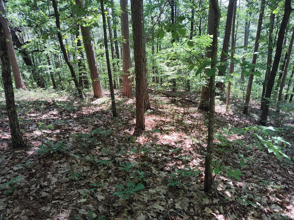 Lot 560 Neptune Circle Ranger, GA 30734 - Photo 6 of 26 Community Creek Access