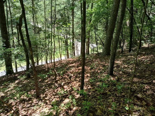 $12,000 | Lot 560 Neptune Circle, Ranger, GA 30734