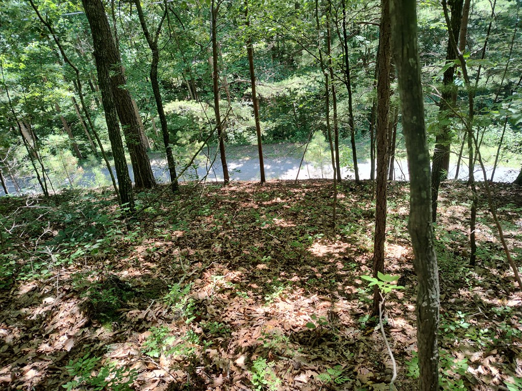 Lot 560 Neptune Circle Ranger, GA 30734 - Photo 8 of 26 Community Creek Access