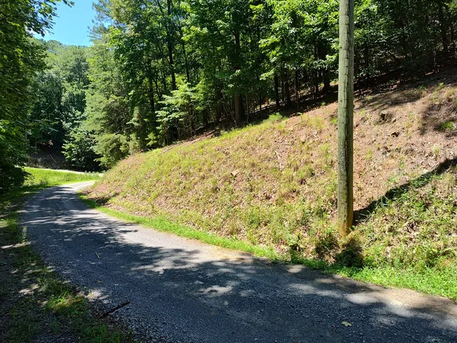 $12,000 | Lot 560 Neptune Circle, Ranger, GA 30734