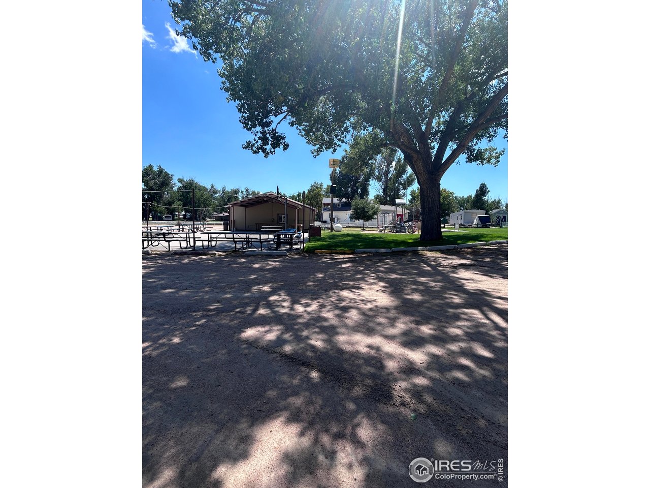 213 Kiowa Road Weldona, CO 80653 - Photo 13 of 25 a view of a yard with plants and trees