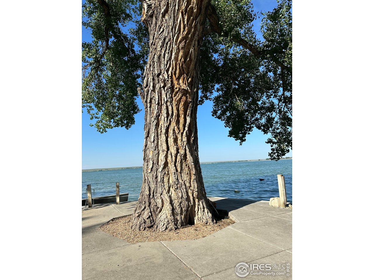 213 Kiowa Road Weldona, CO 80653 - Photo 20 of 25 a view of a backyard with a tree
