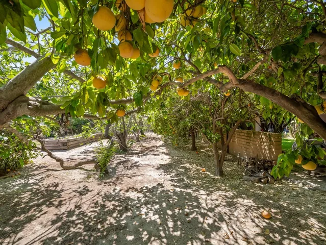 a view of a water with a tree in the background