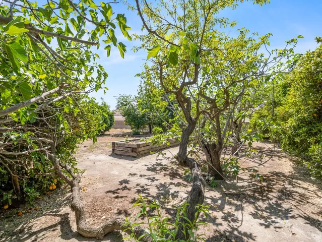 a view of a swimming pool with a yard