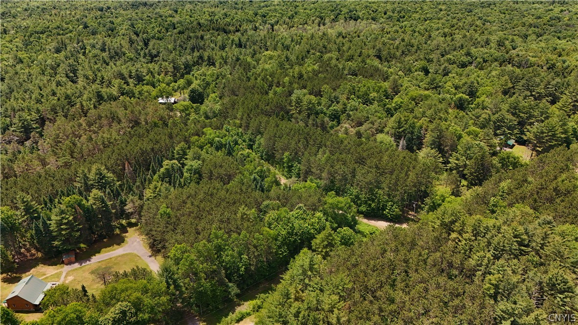 Bellingertown Road Forestport, NY 13338 - Photo 6 of 12