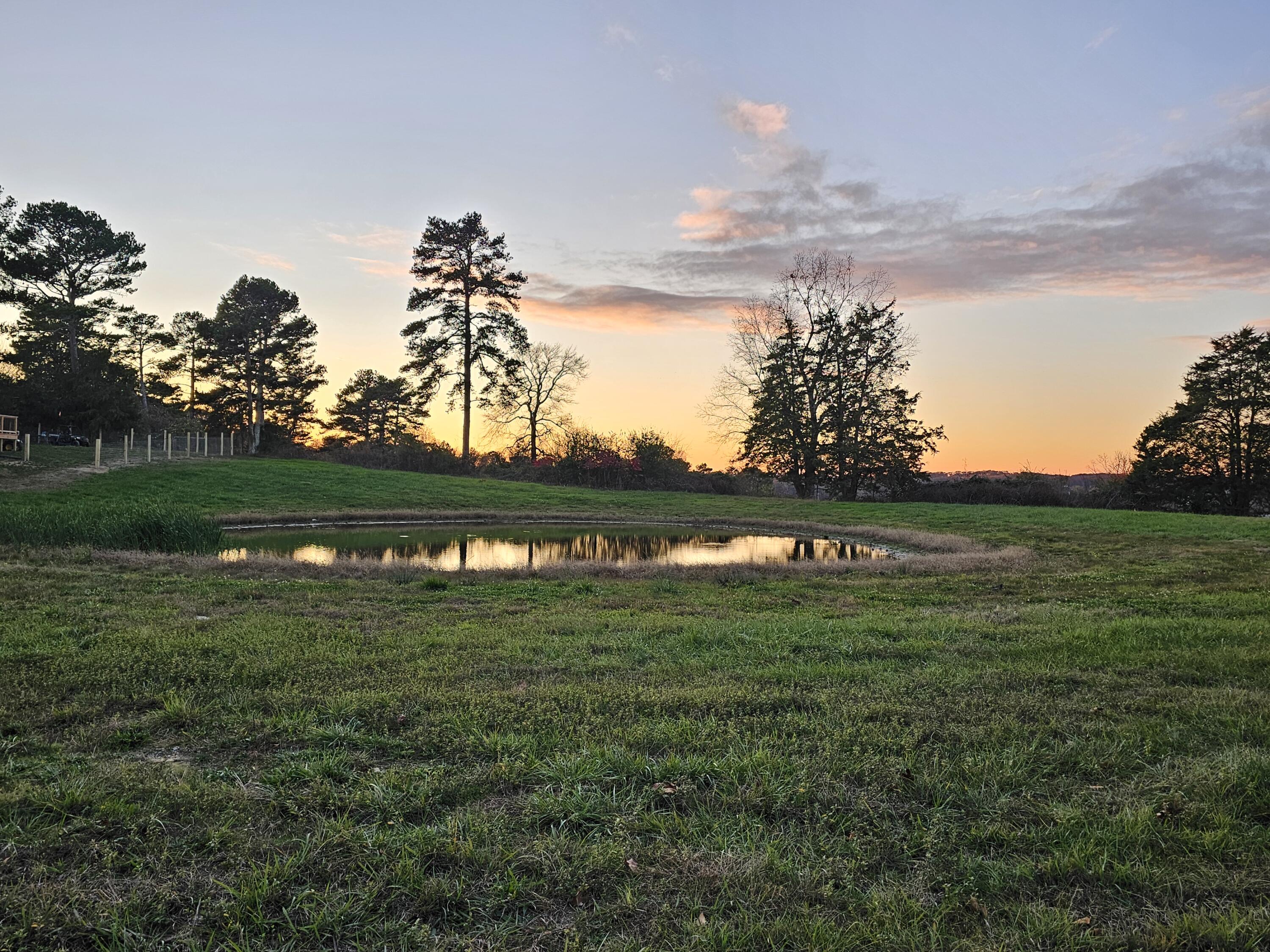 2-3 Wilkinson Road Northeast Cleveland, TN 37323 - Photo 1 of 1 20241122_172228