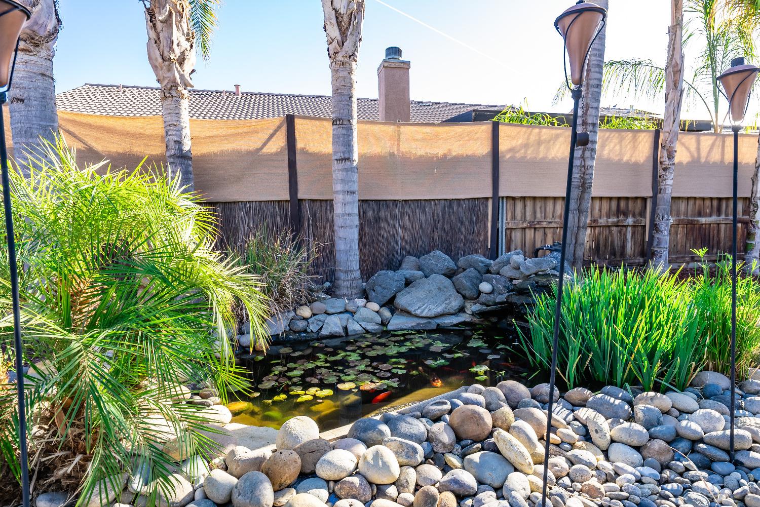 696 Crescent Lane Lemoore, CA 93245 - Photo 29 of 35 a view of a garden with a tree