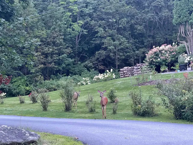 $3,000 | 35 Mill Pond Road, Durham, NH 03824