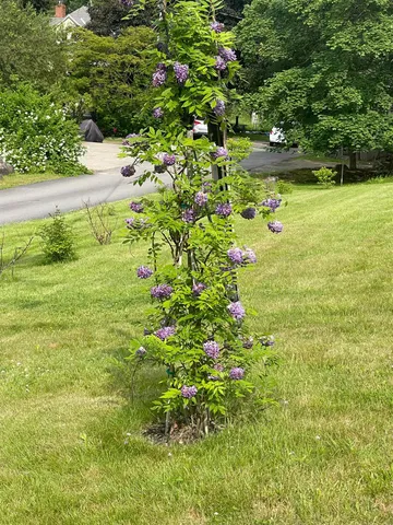 $3,000 | 35 Mill Pond Road, Durham, NH 03824