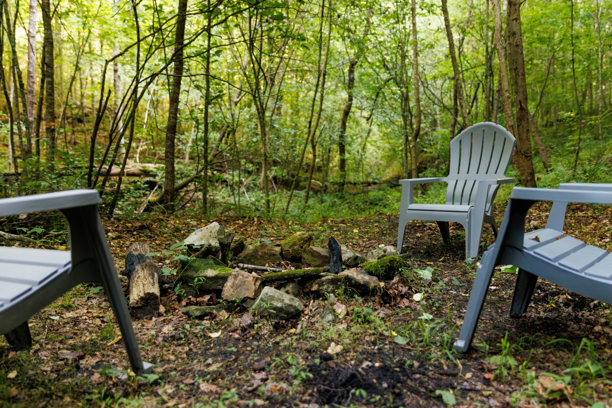 7365 Coldwater Road Fairview, TN 37062 - Photo 35 of 58 a view of a chair and table in the backyard