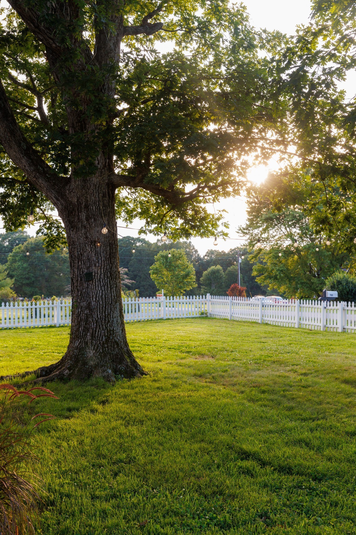 7365 Coldwater Road Fairview, TN 37062 - Photo 39 of 58 a view of outdoor space and yard