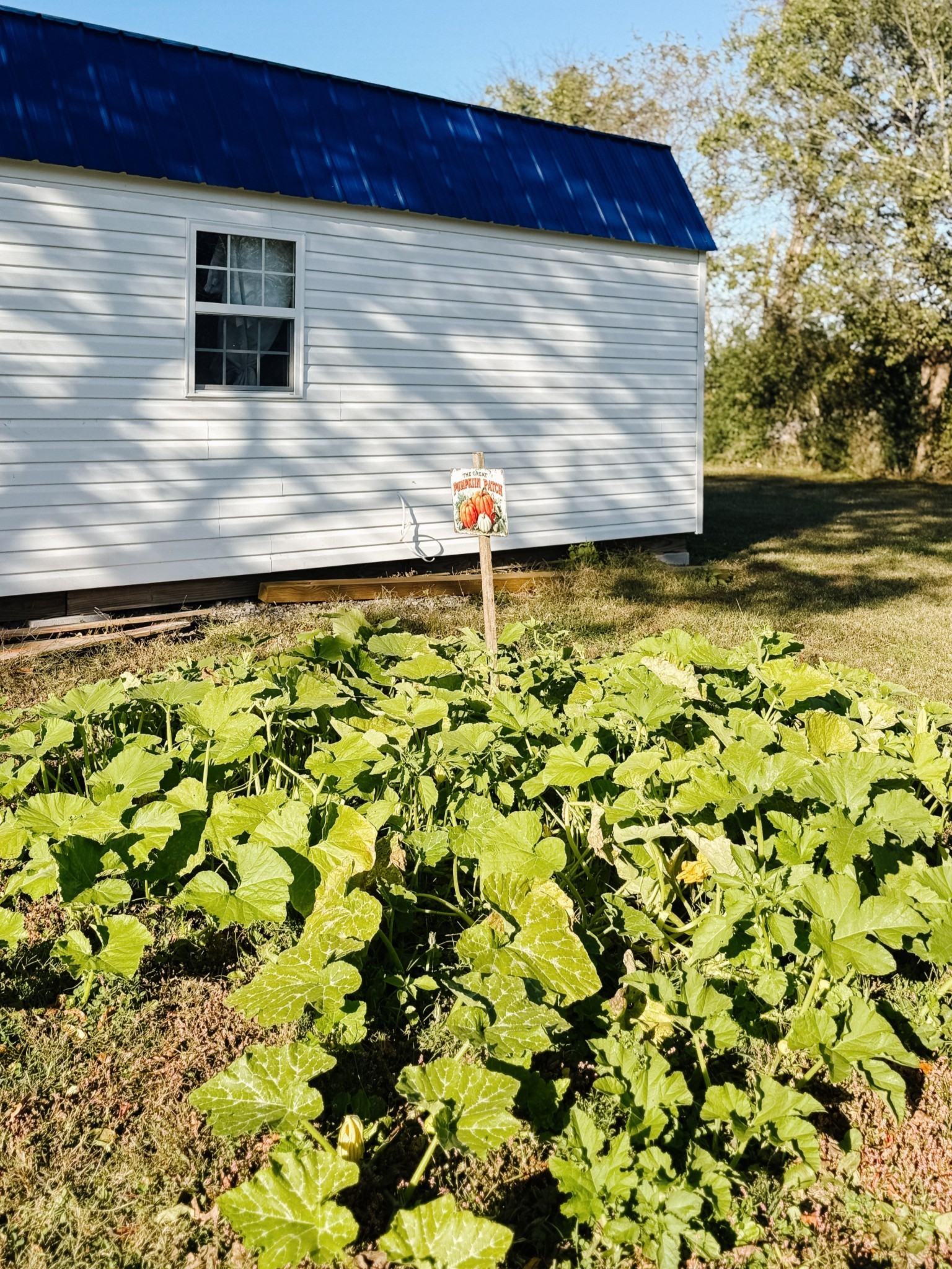 7365 Coldwater Road Fairview, TN 37062 - Photo 46 of 58 a view of a pathway