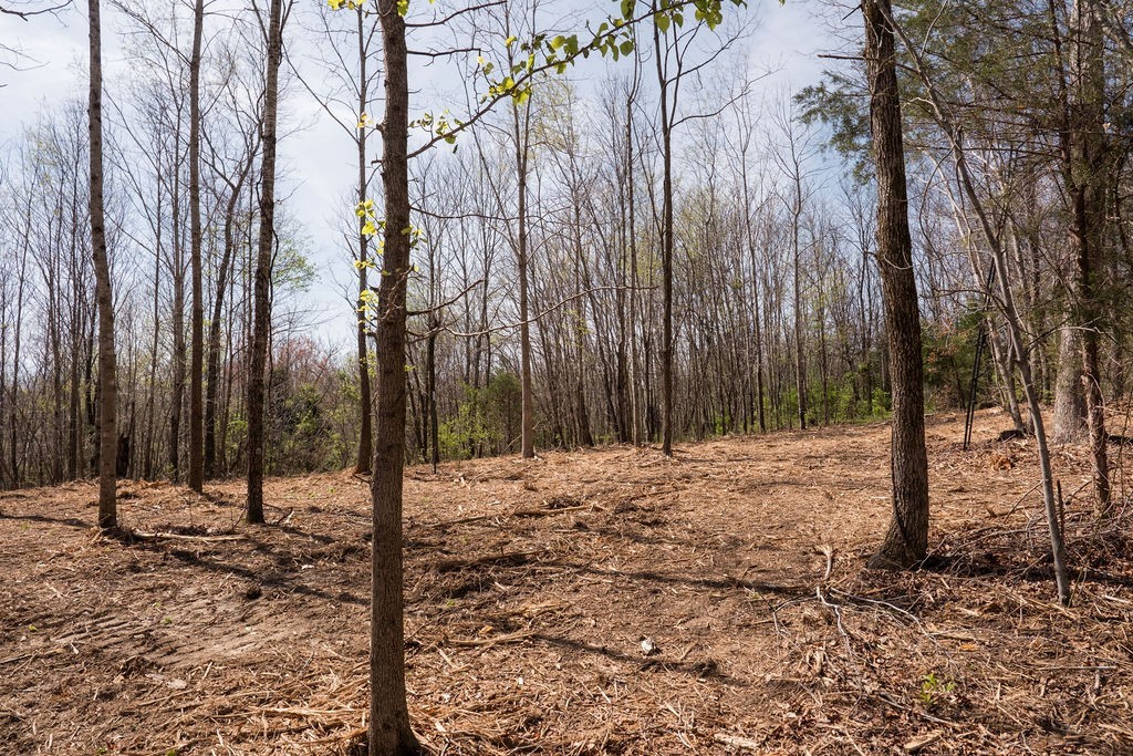 7365 Coldwater Road Fairview, TN 37062 - Photo 54 of 58 a view of a backyard of the house