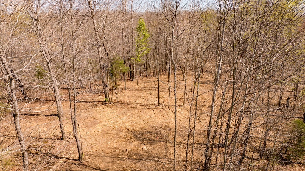7365 Coldwater Road Fairview, TN 37062 - Photo 56 of 58