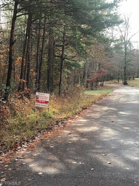 0 Martin Street Ronda, NC 28670 - Photo 2 of 4 Gallery Image 2