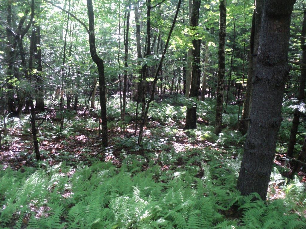 6 South Road Winthrop, ME 04364 - Photo 1 of 5 133 Union St. R. O)jeda 006