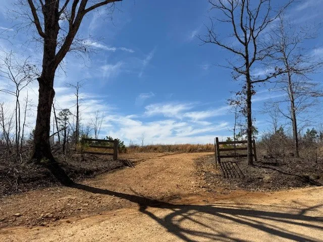 $76,000 | D Toll Hollow Road, Waynesboro, TN 38485